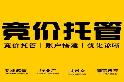 SEM推广代运营案例：优化策略